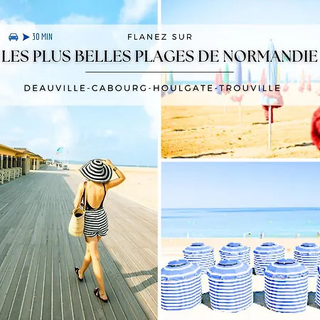 Joli & Mansarde - Le Jardin De L'eveche A Votre Fenetre リジュー