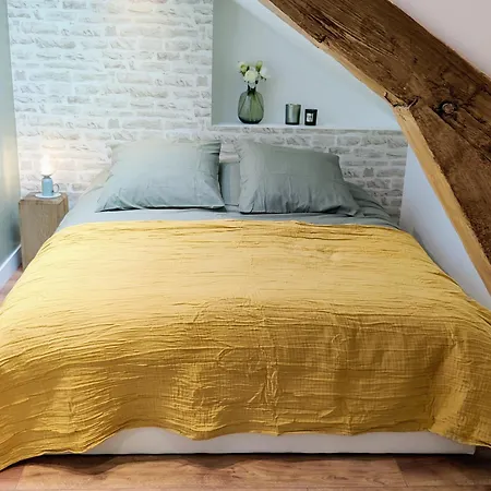Apartment Joli Mansarde Au Calme - Le Jardin De L'eveche A Votre Fenetre Lisieux